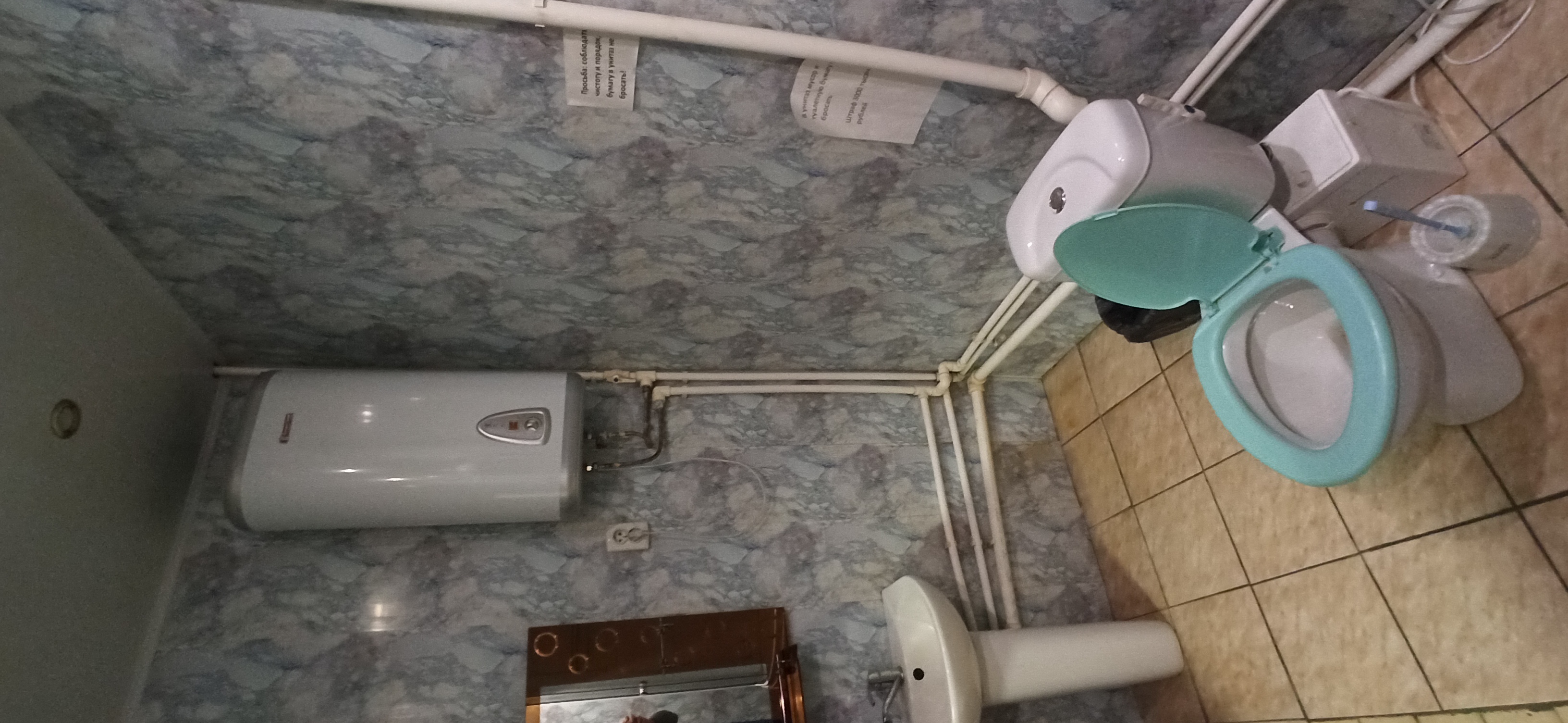 Фото Золотая рыбка