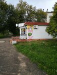 Almaz (Vostochnaya Street, 58А), grocery