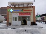 Дар (ulitsa Gaydara, 61), gift and souvenir shop