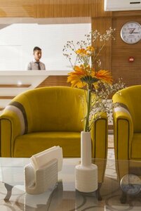 Гостиница Demosan City Hotel