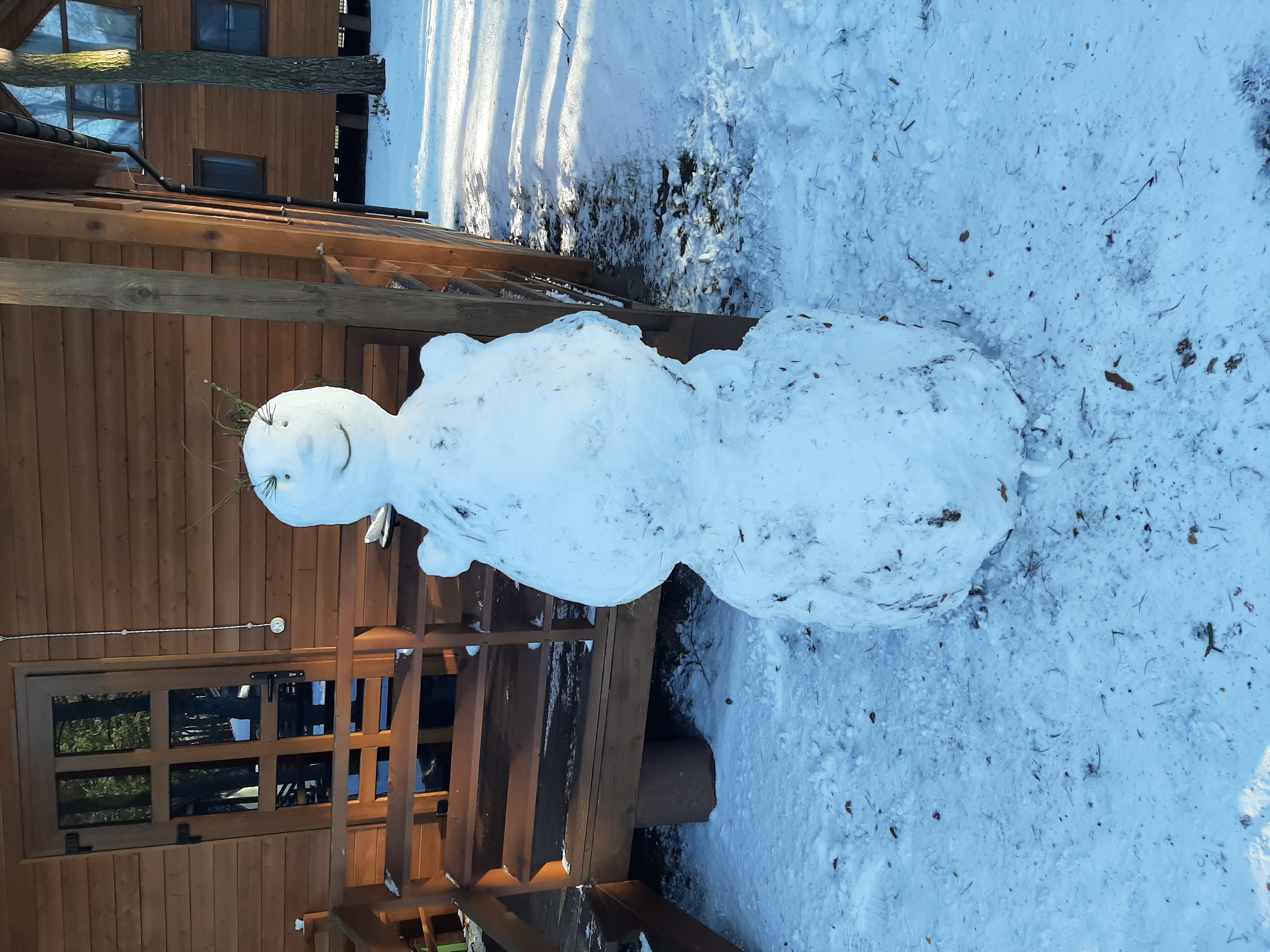 Фото Дом поэта