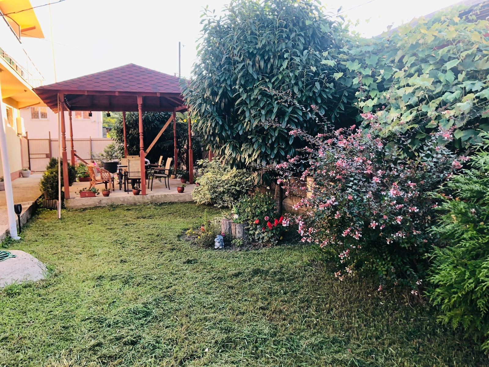 Фото Енисей