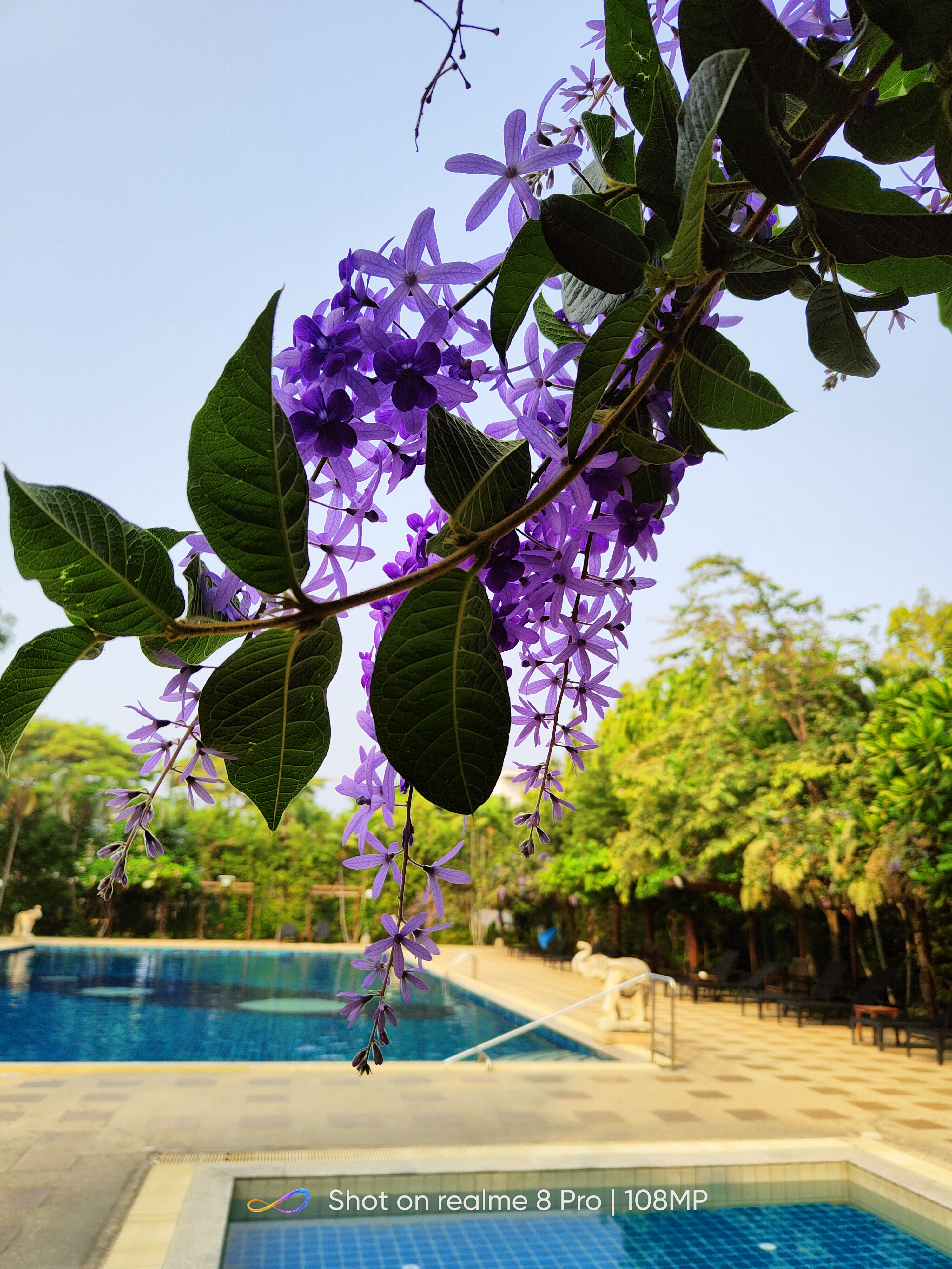 Фото Pinnacle Grand Jomtien Resort