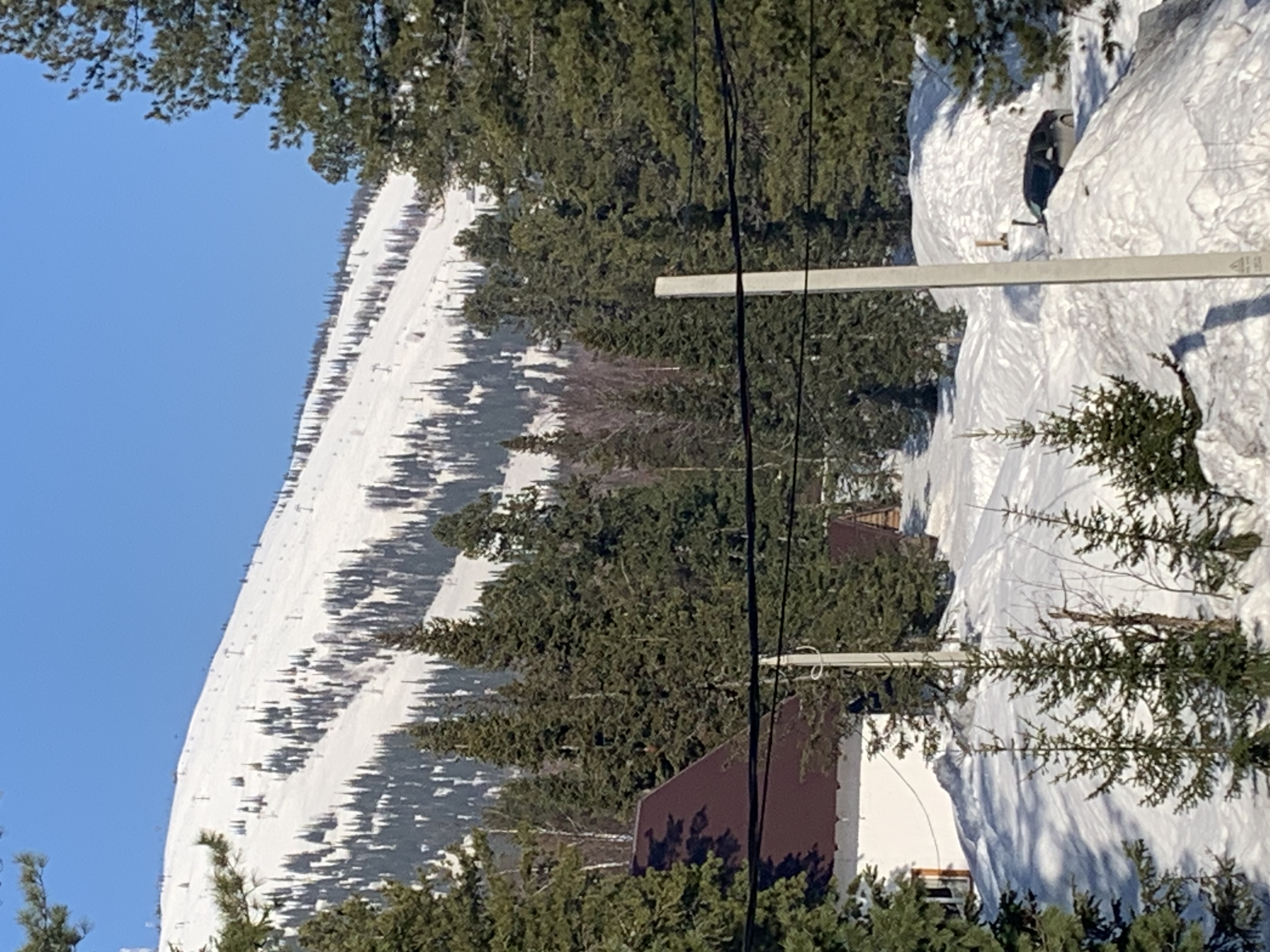 Фото Сила Сибири