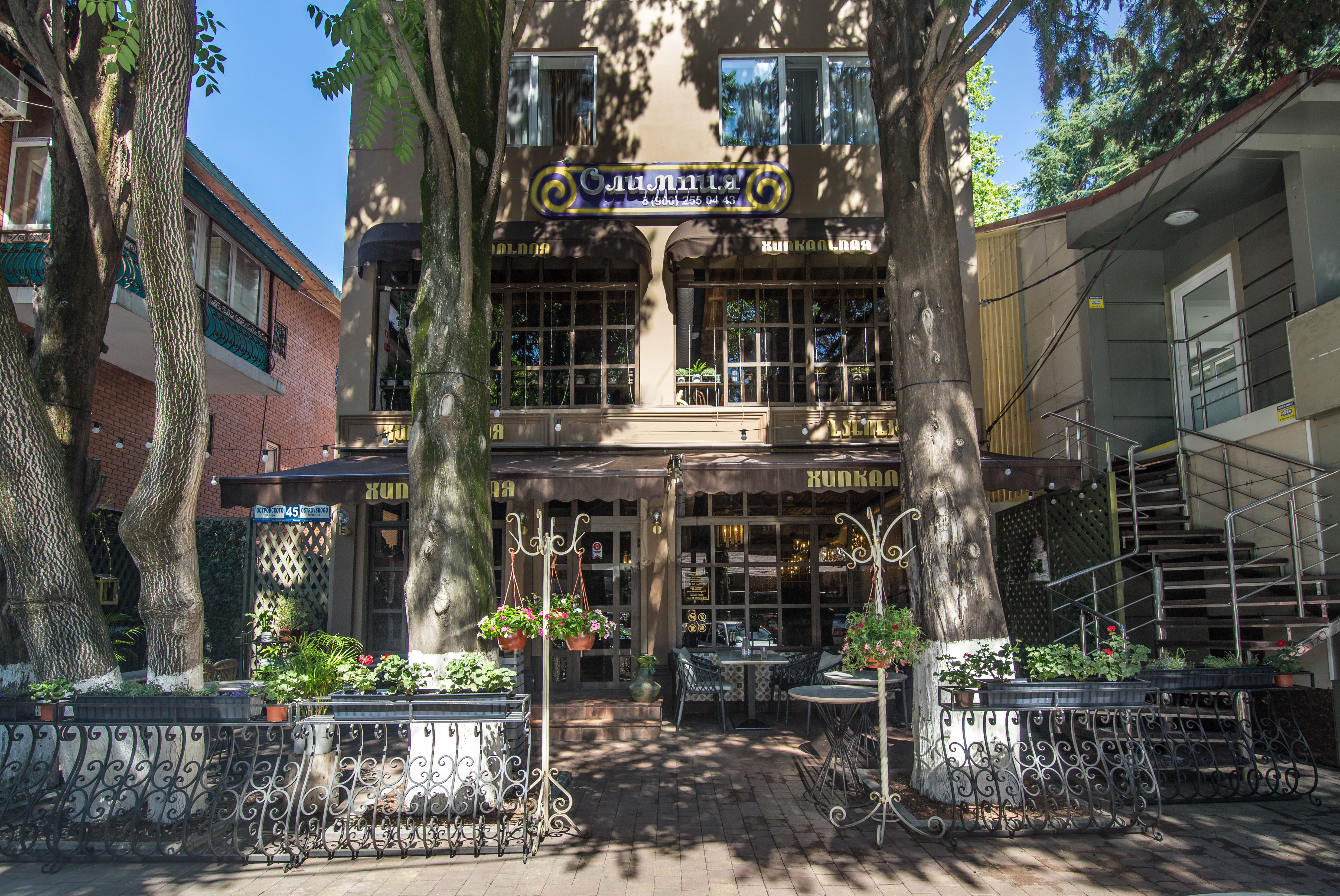 Фото Олимпия