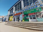 Аквариумные рыбки (Krasnoarmeyskaya Street, 126), pet shop