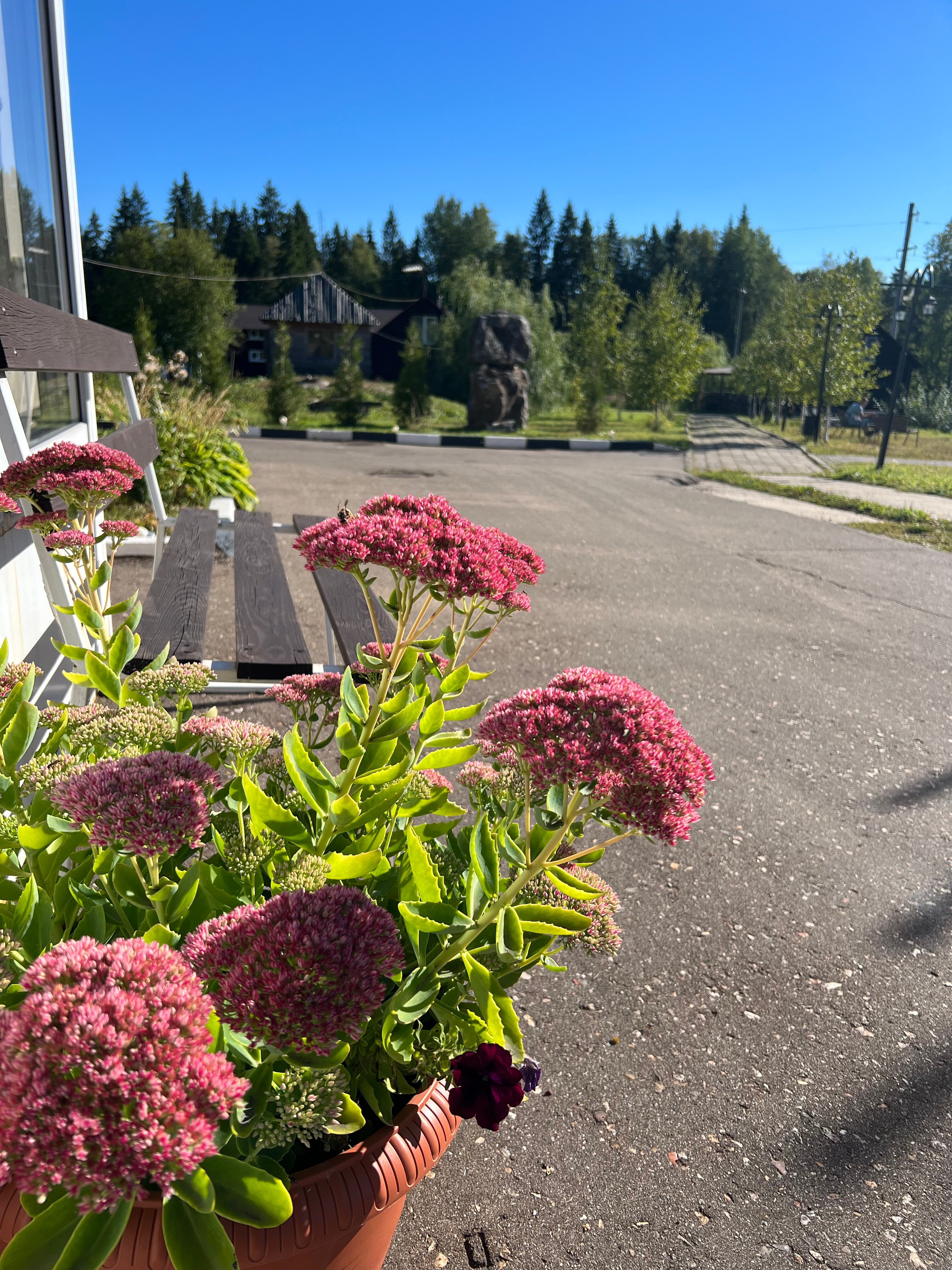 Фото База отдыха Берёзовка