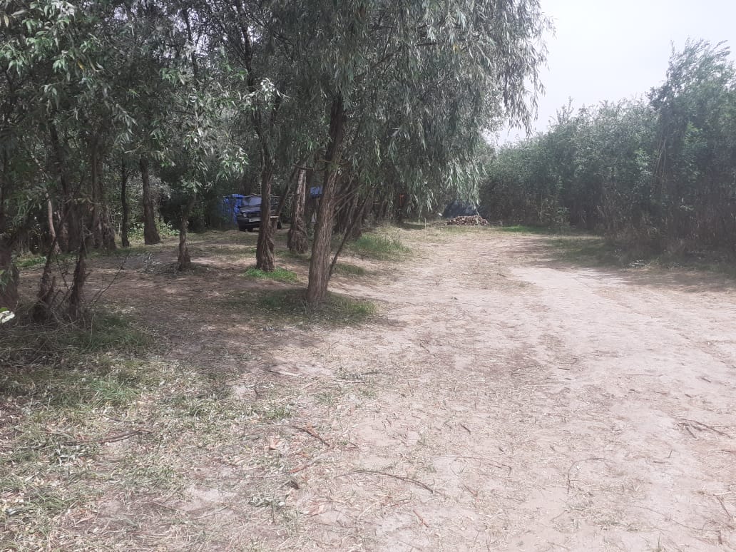 Фото База Звезда