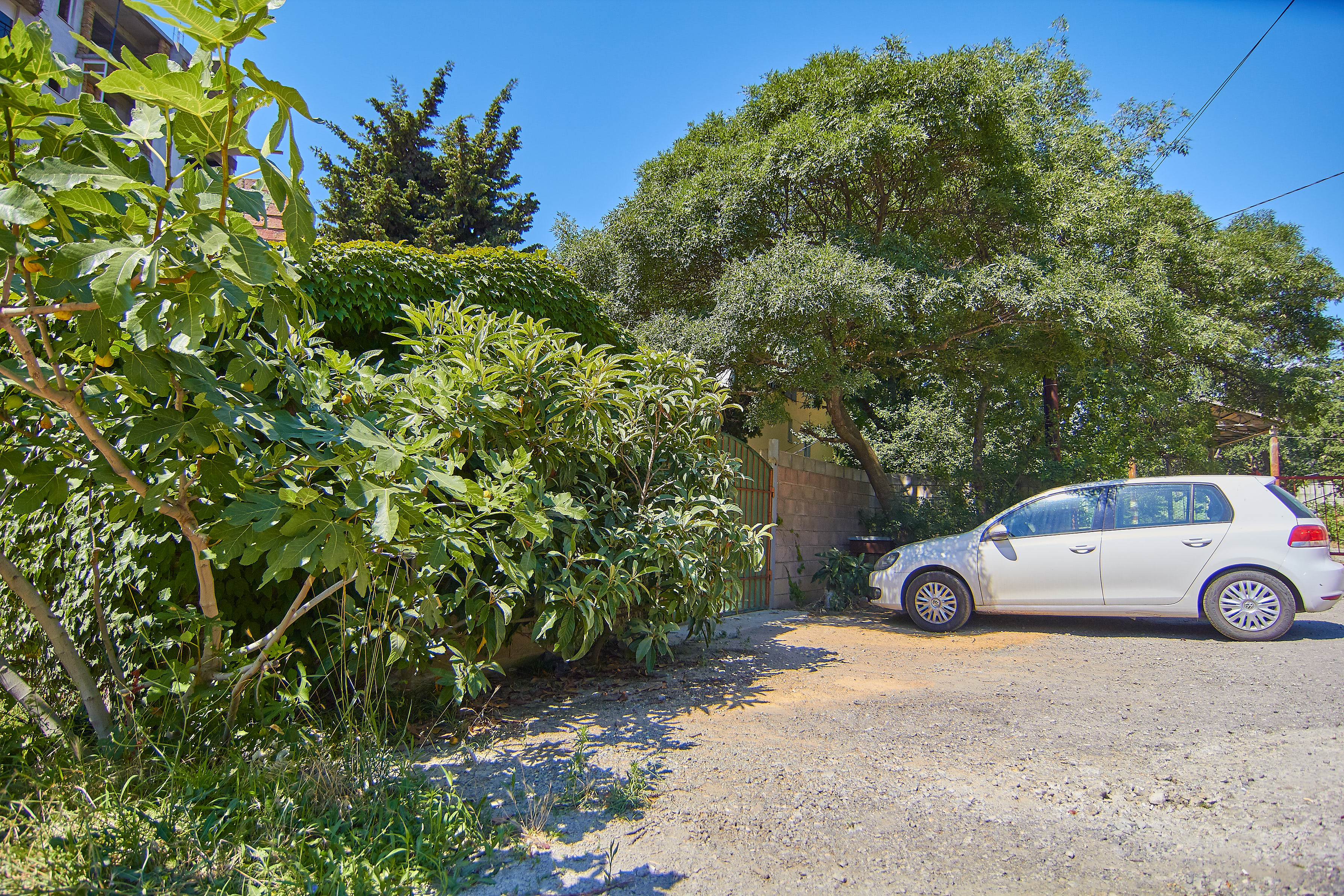 Фото Большая медведица