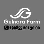 Gulnora Med Farm № 5 (просп. Чулпана, 50), аптека в Андижане