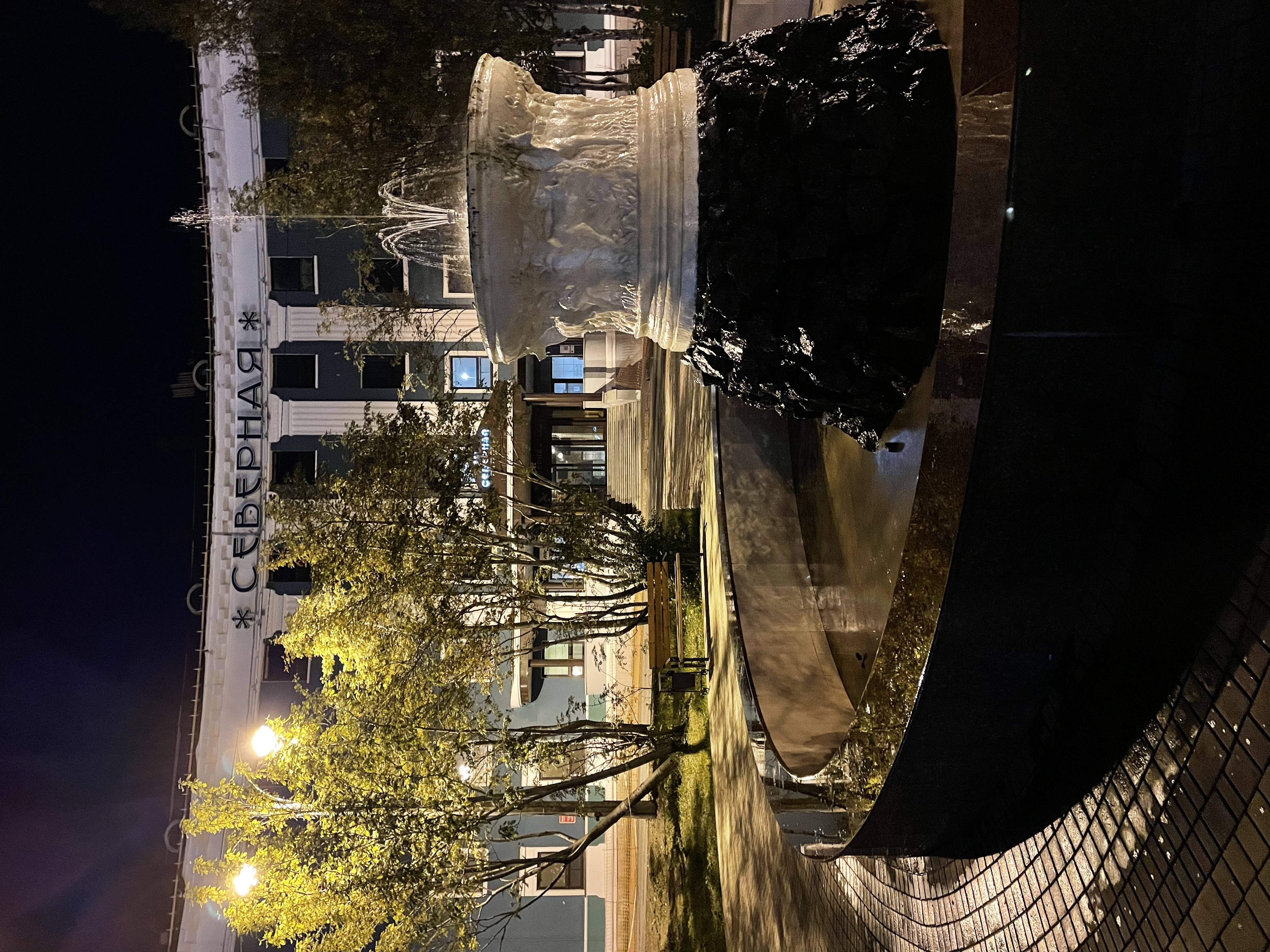 Фото Северная