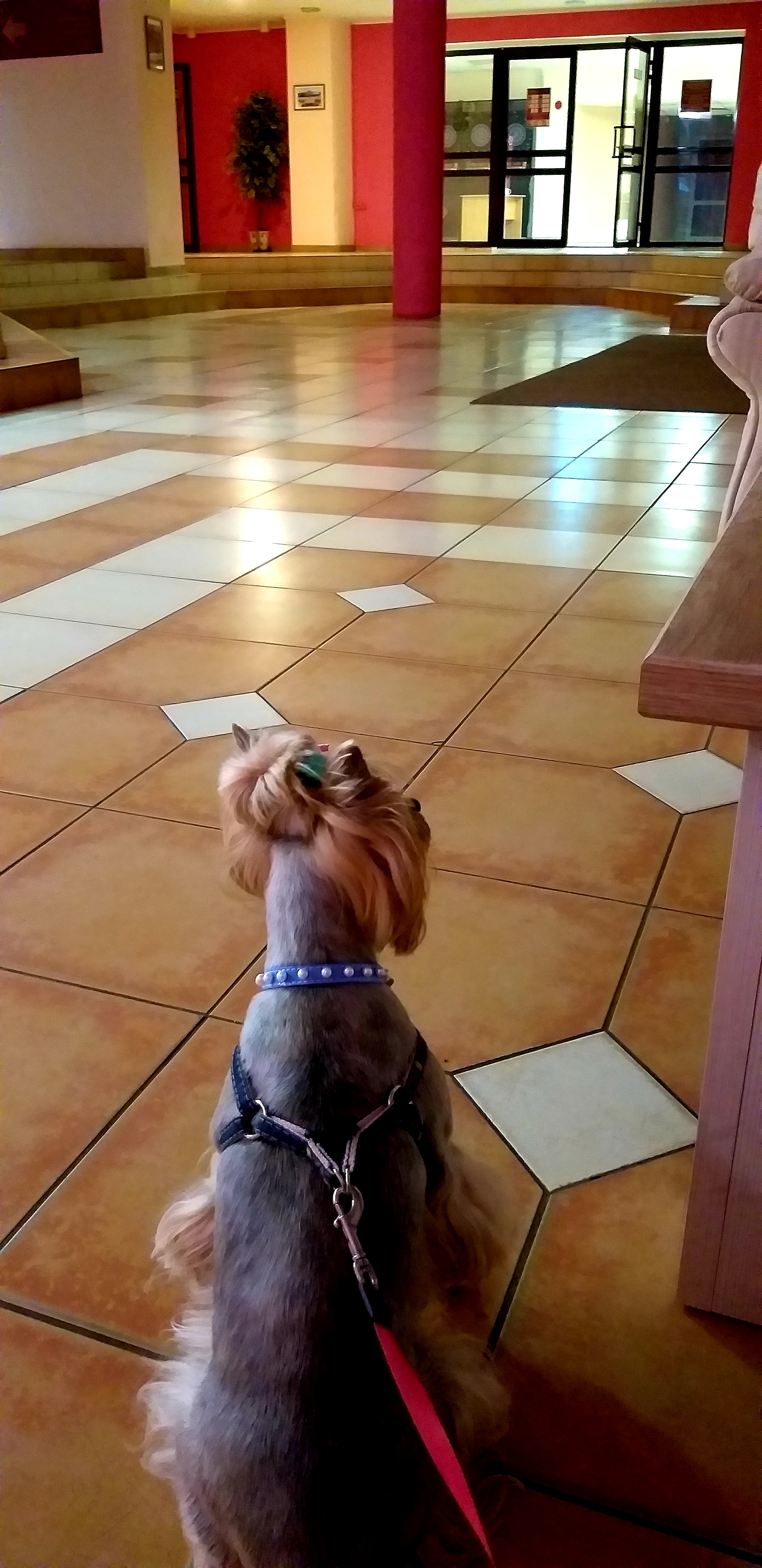 Фото Турист