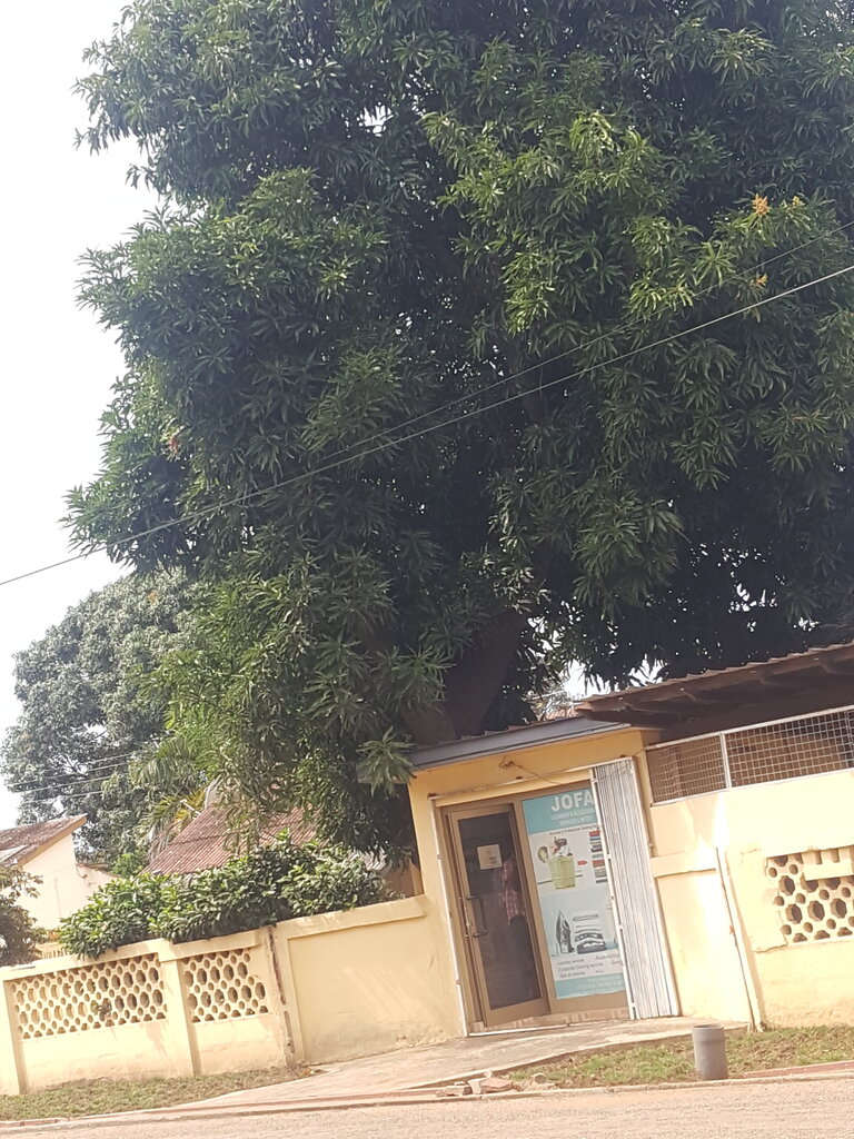 Air purifiers, humidifiers and fragrances Jofa cleaning services, Earth, photo