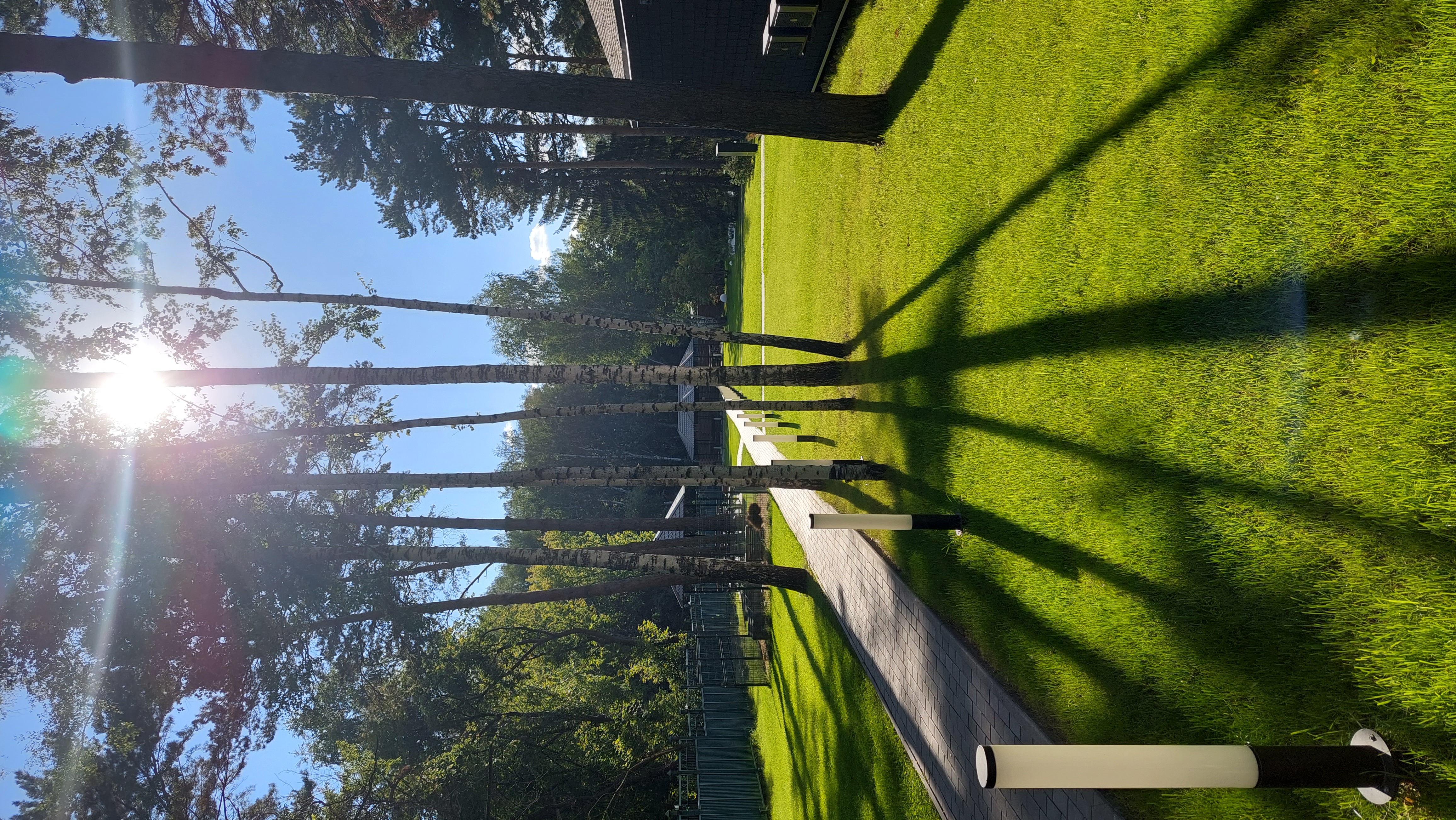 Фото Сосновый бор