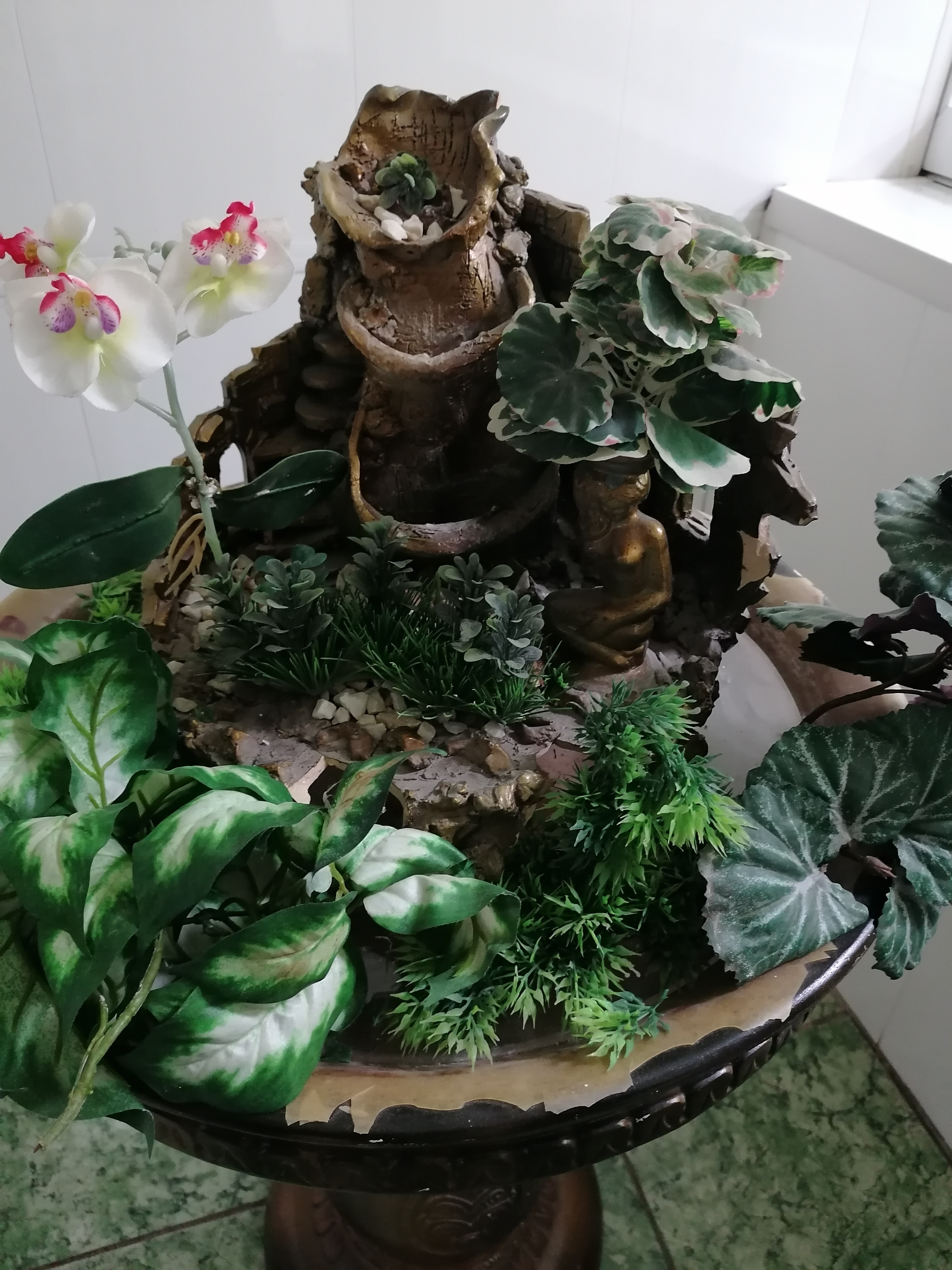 Фото Кедровый бор