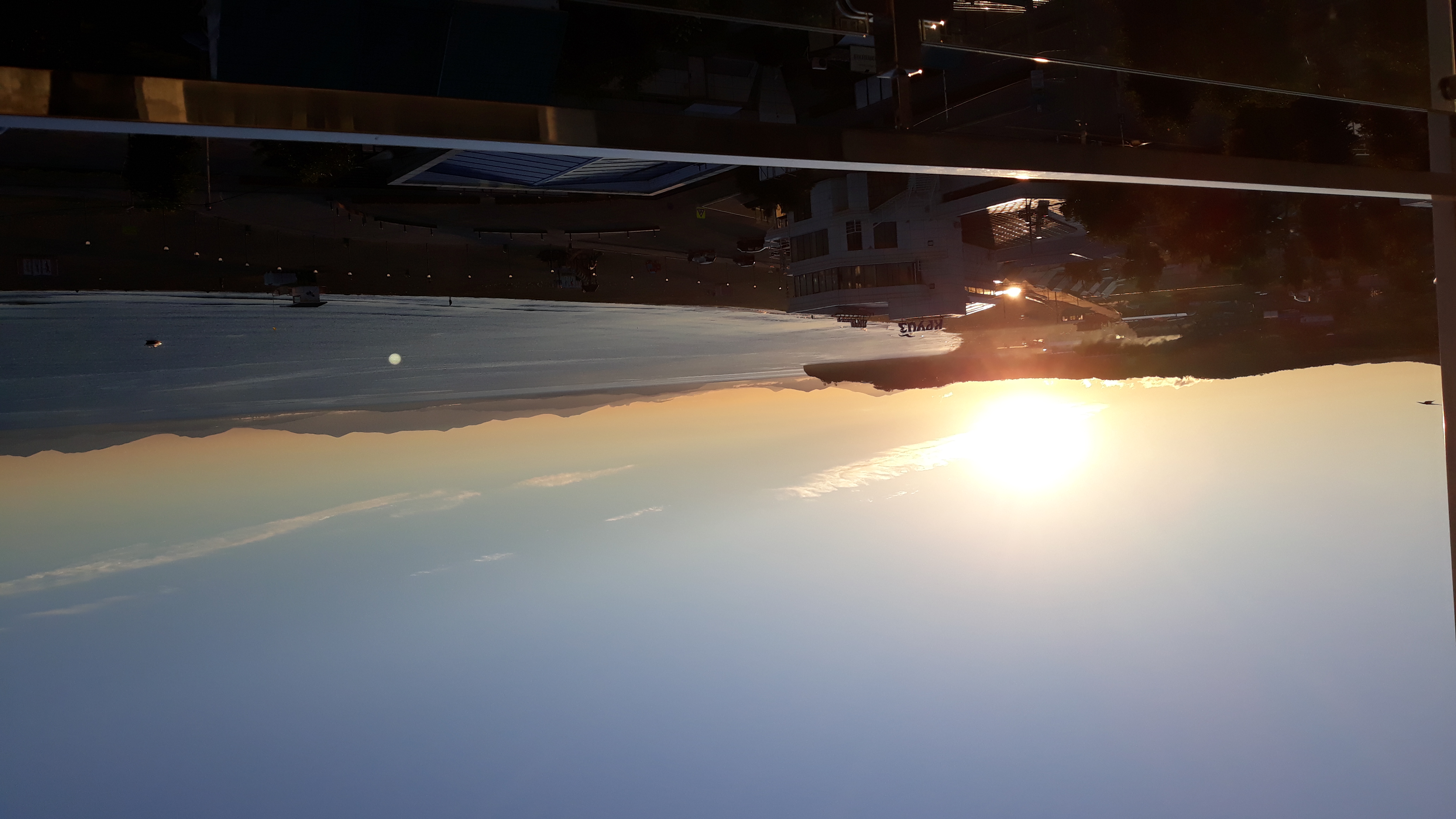 Фото Звезда моря