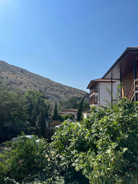 Фото Зелёный остров