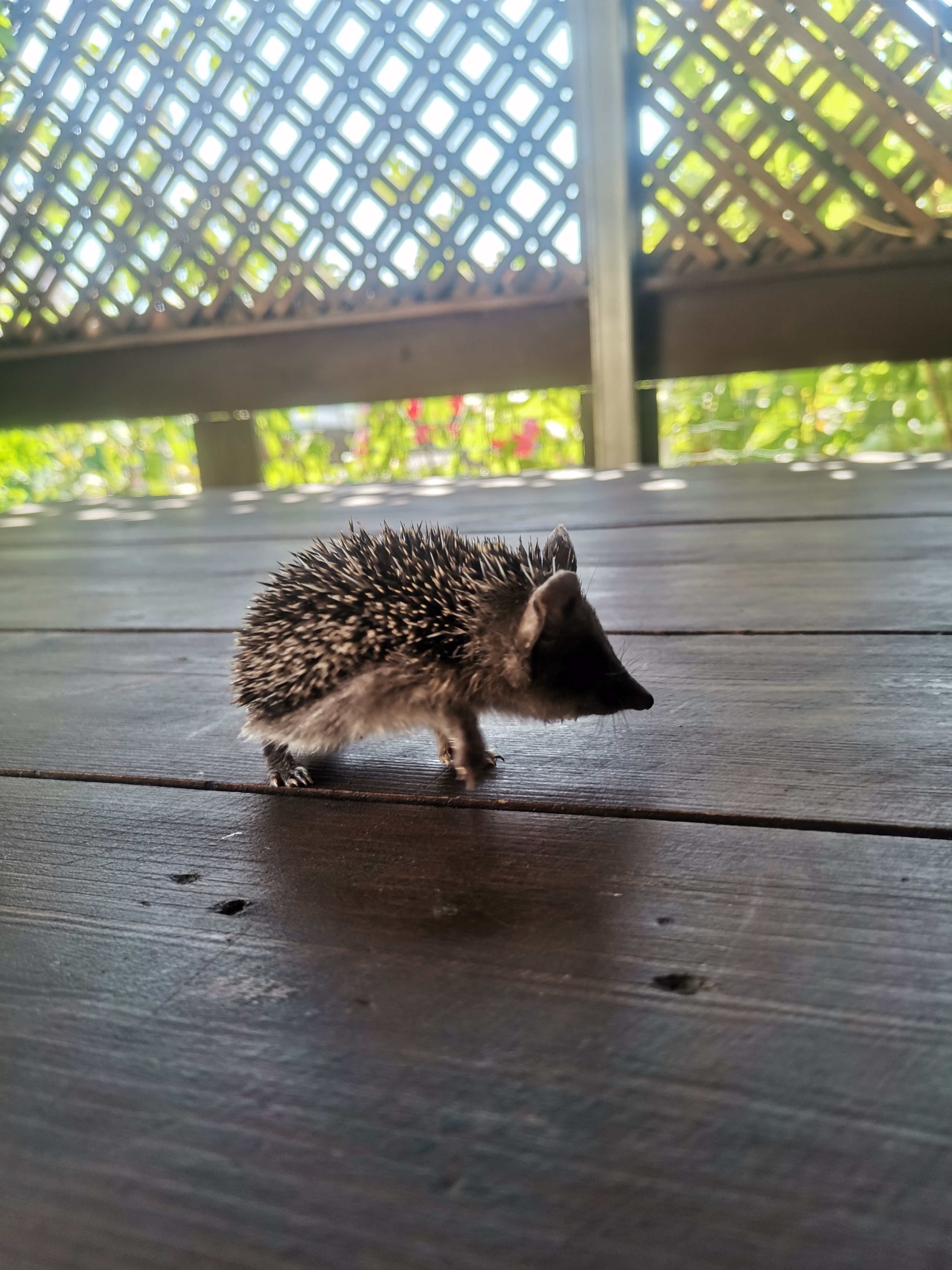 Фото Песчаный Берег