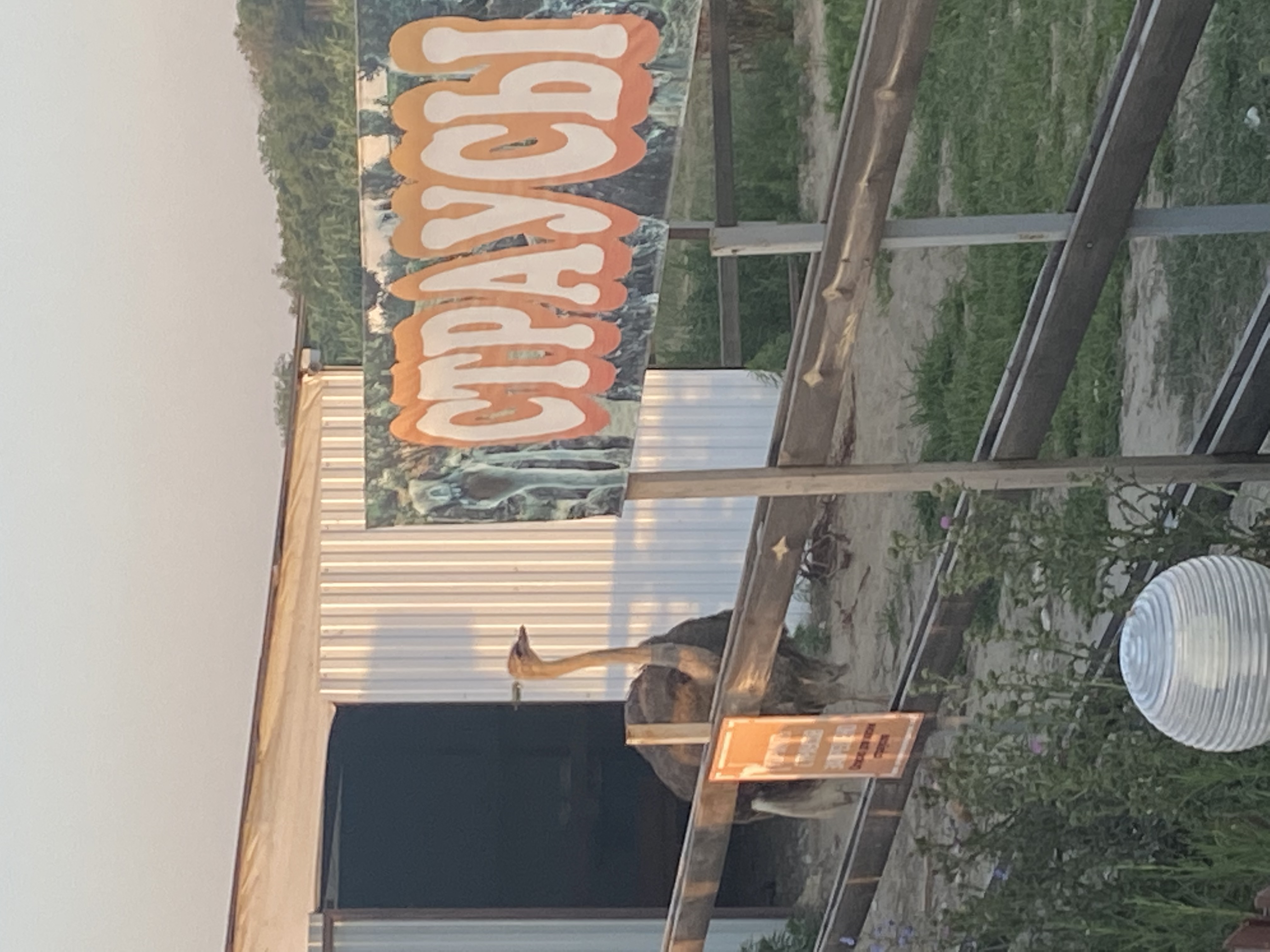 Фото Анастасиевская