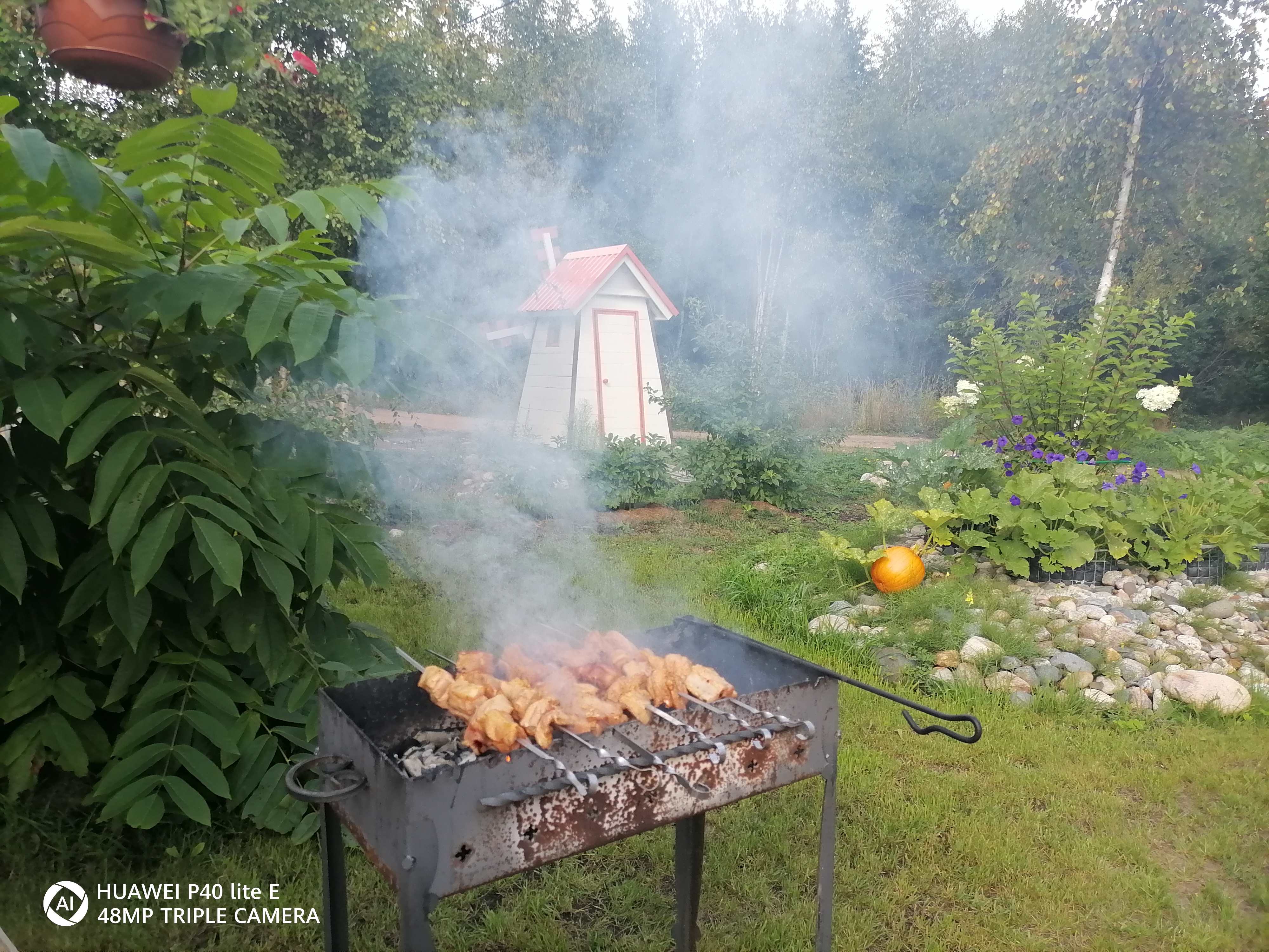 Фото Тулокса