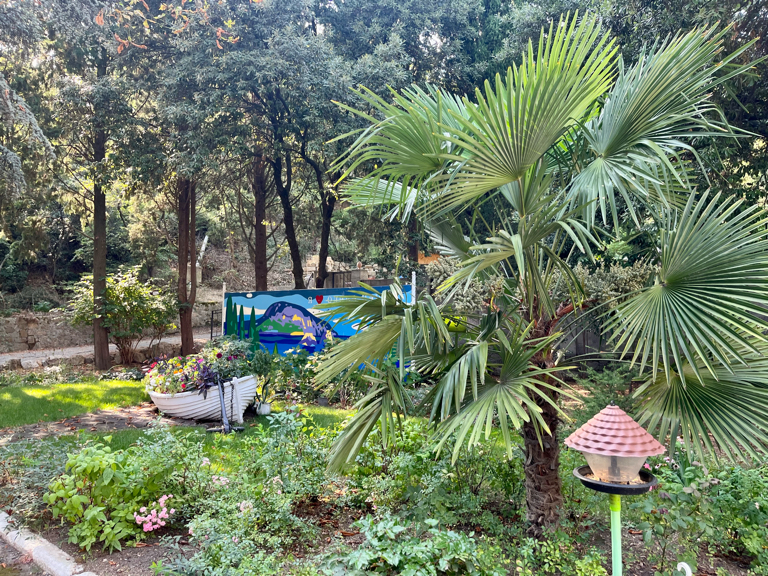 Фото Олива Парк