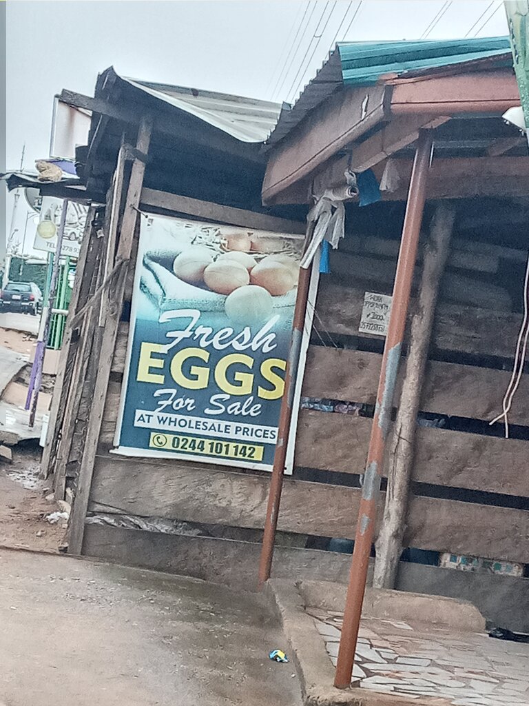 Egg and poultry meat Fresh eggs, Accra, photo