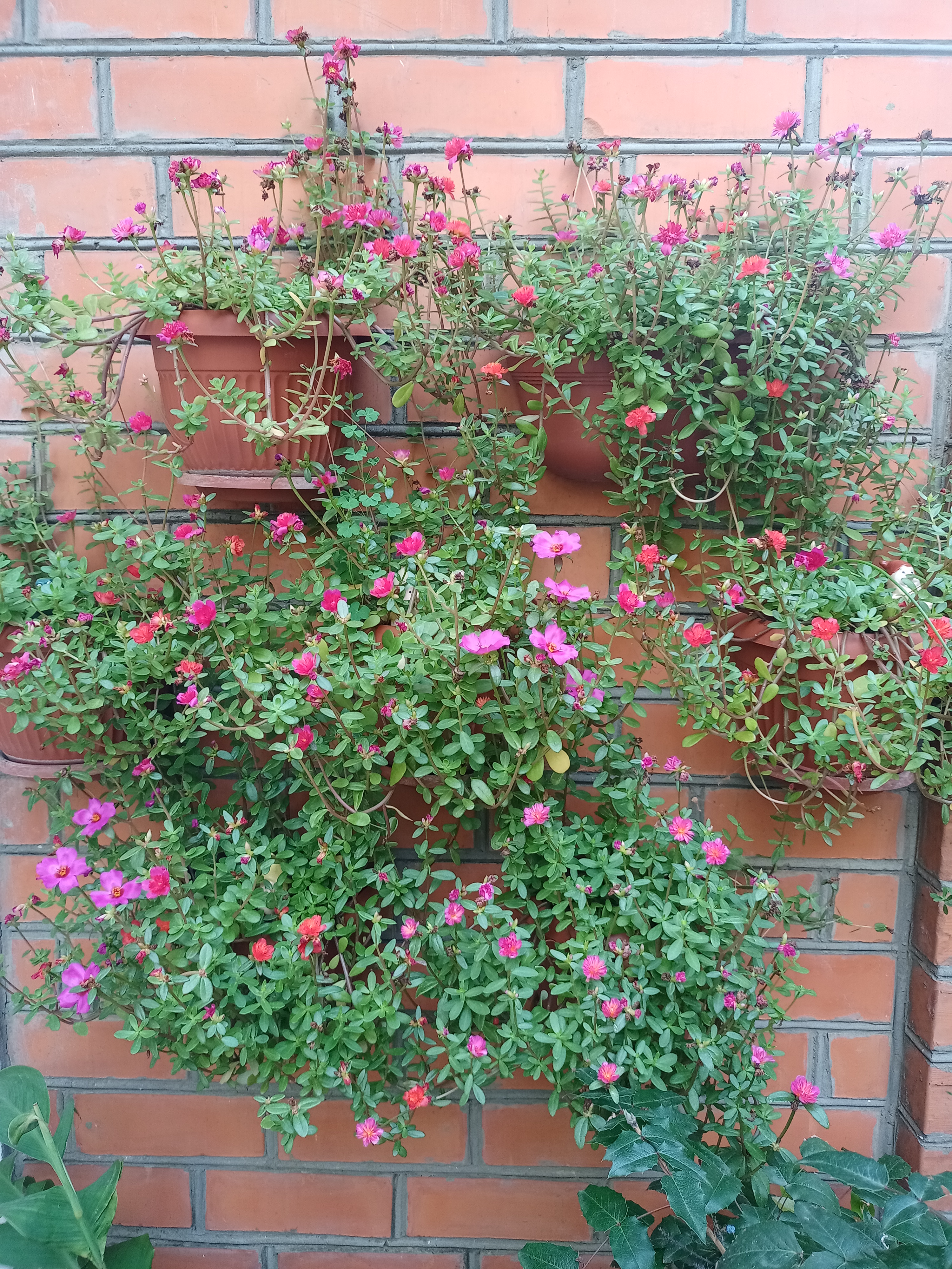 Фото Домашний уют