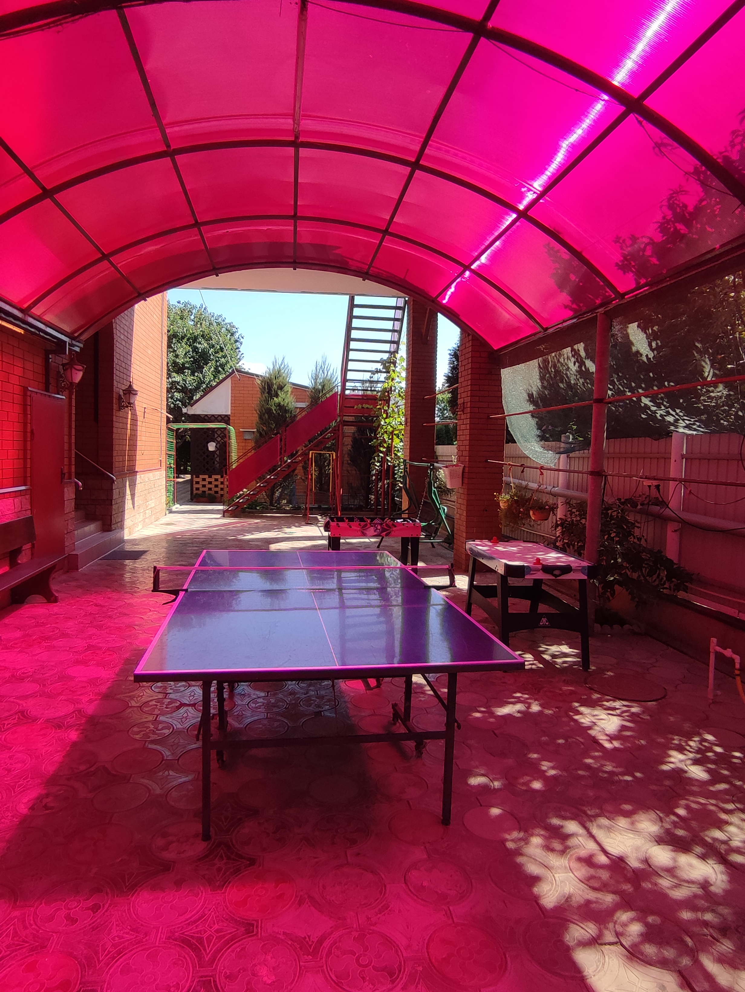 Фото Золотые Пески