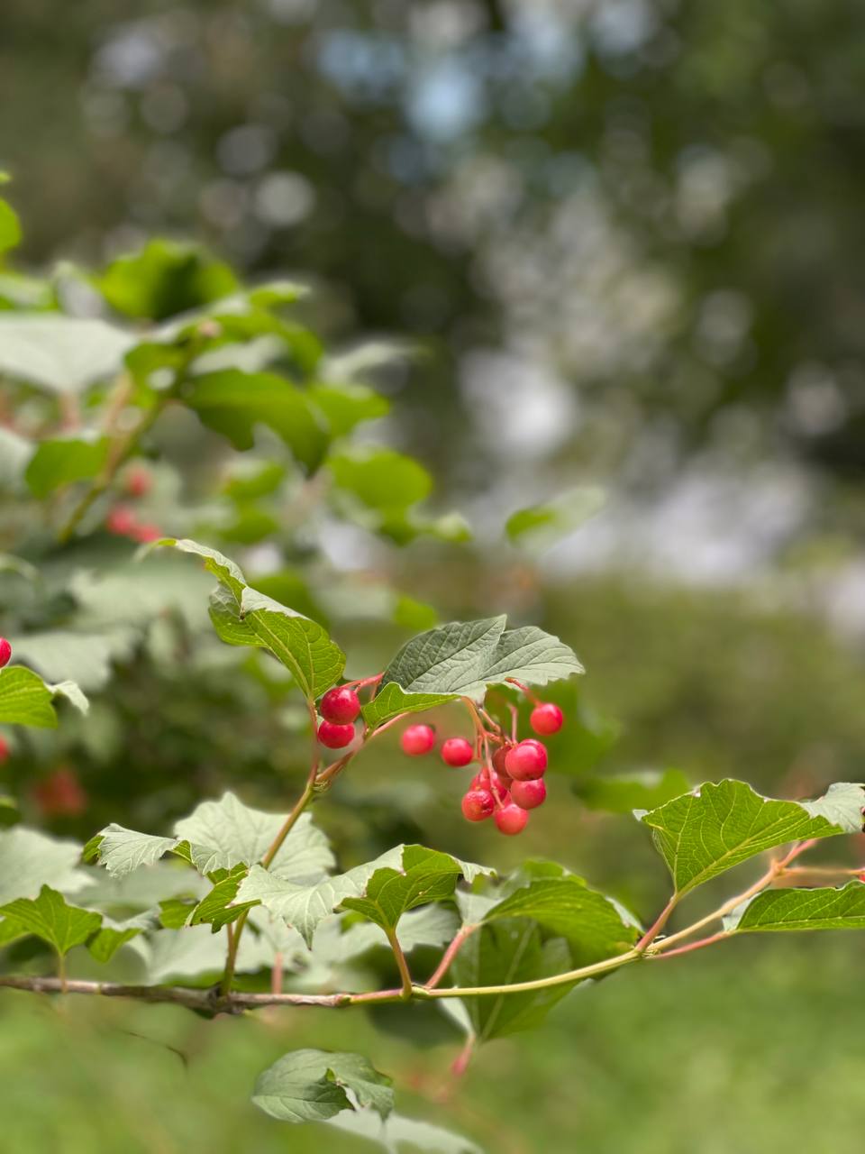 Фото Волжская Здравница
