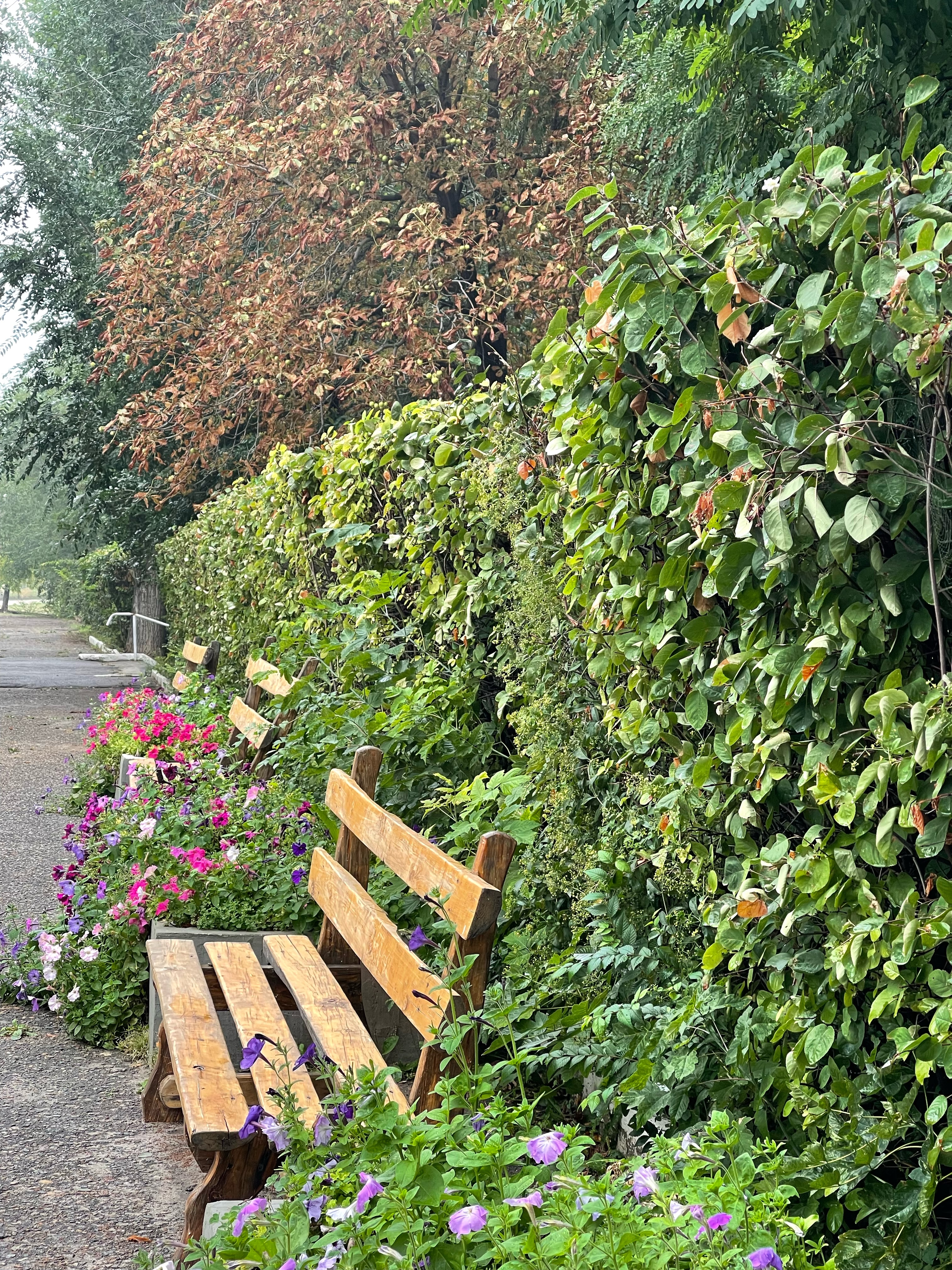 Фото Волжская Здравница