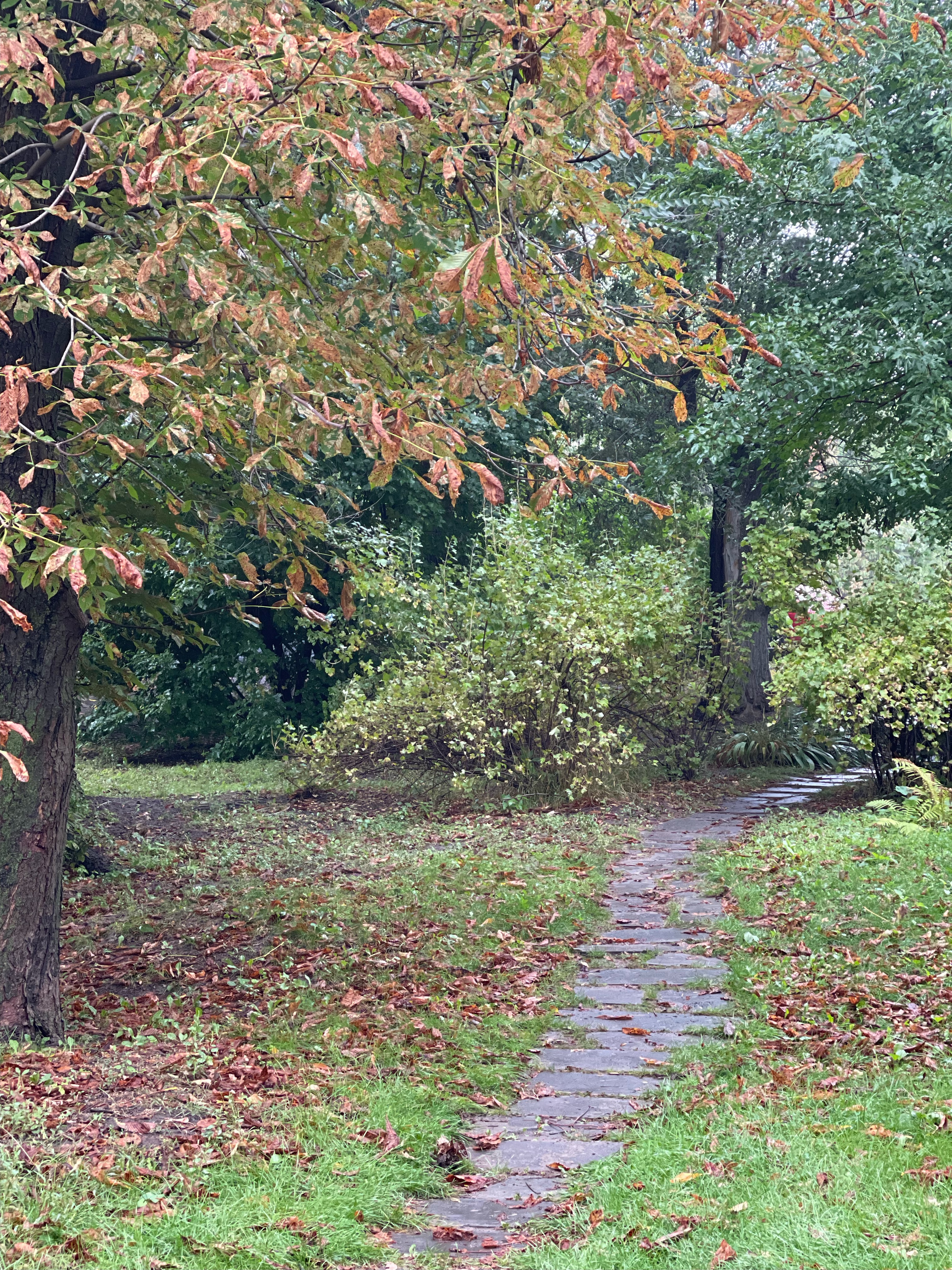 Фото Волжская Здравница