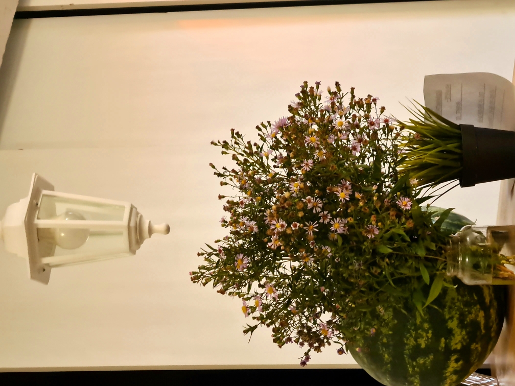 Фото Магнит