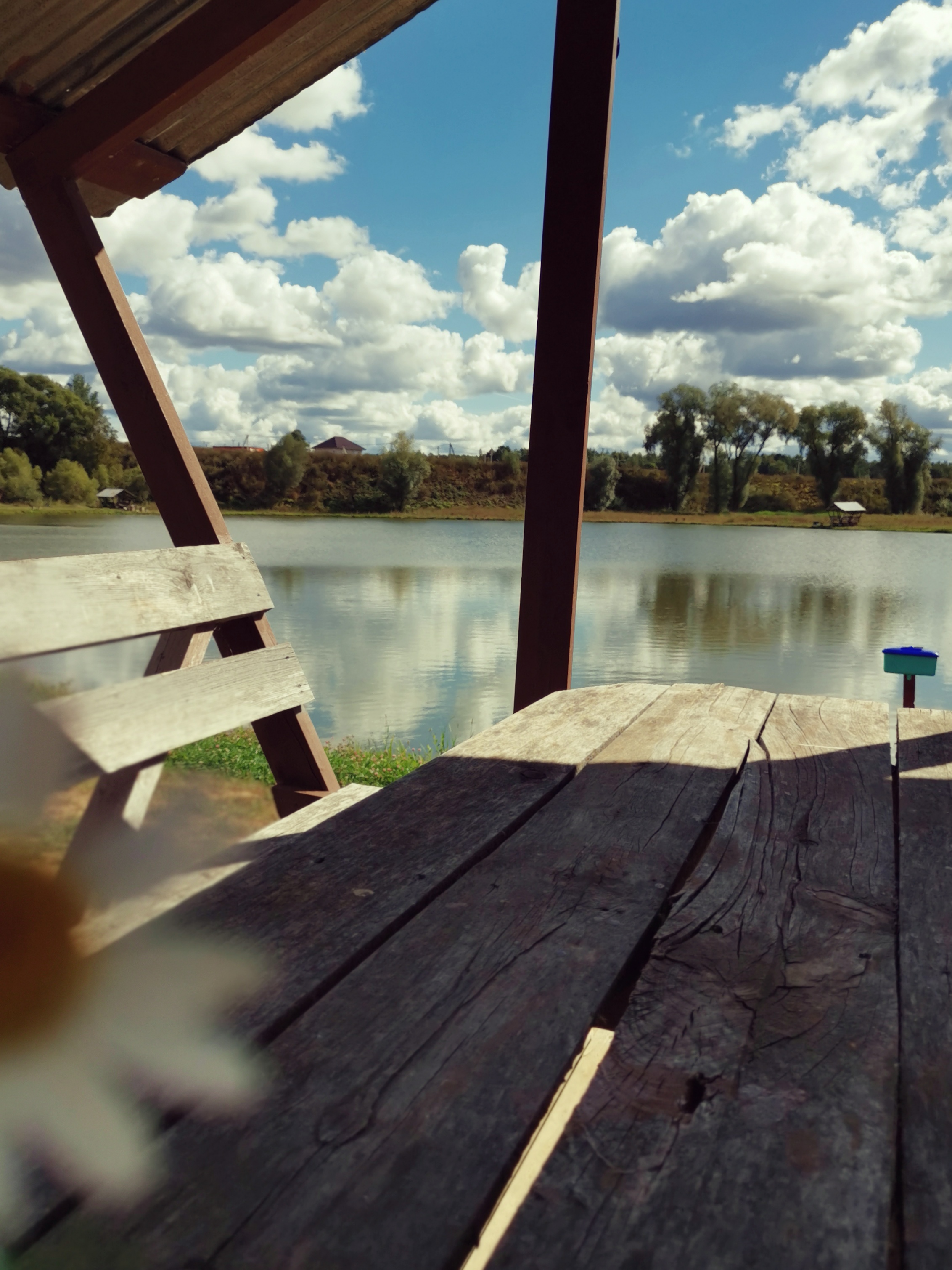 Фото Место клёва