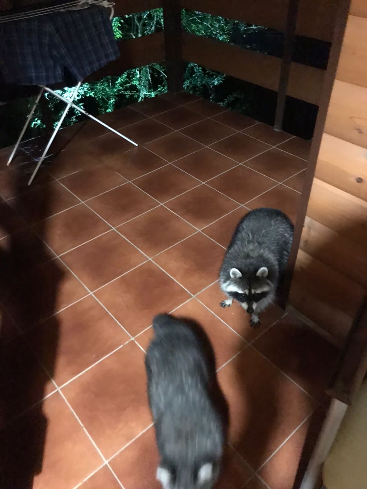 Фото Inal Bay Виктория