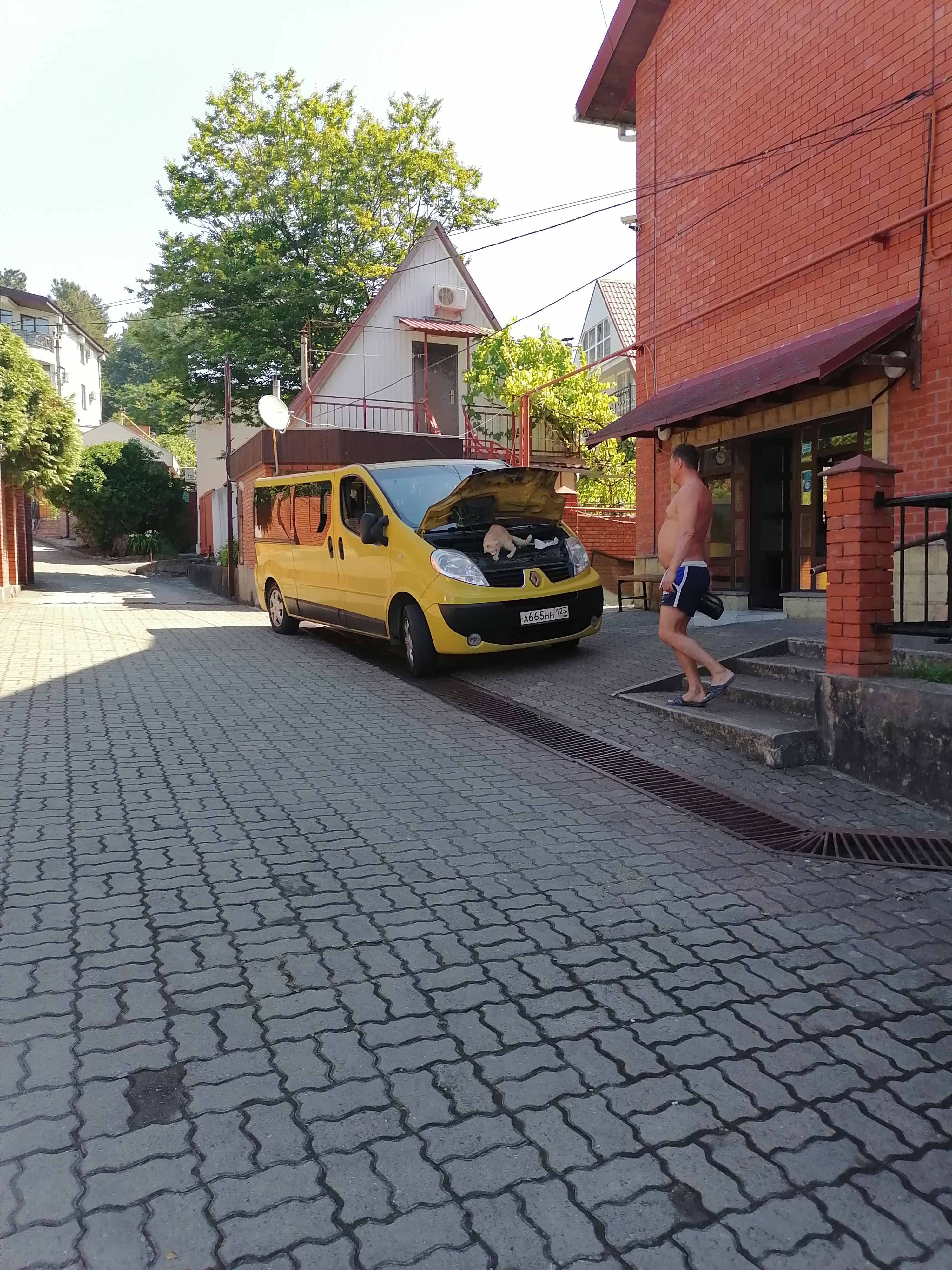 Фото Пенаты