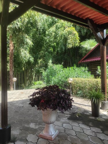 Гостиница Бамбуковый рай в Сочи