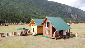 Горный орел