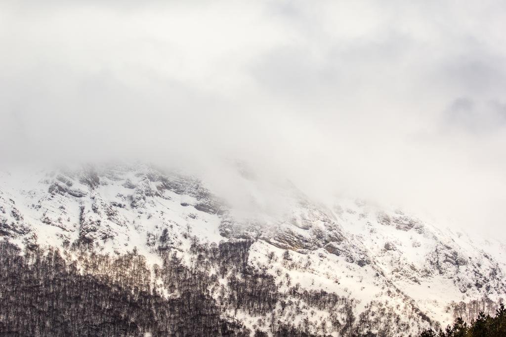 Фото Club Hotel Du Park