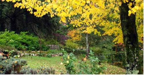 Фото Hotel La Cumbrecita