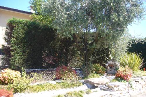 Фото Abano Hotel Verona