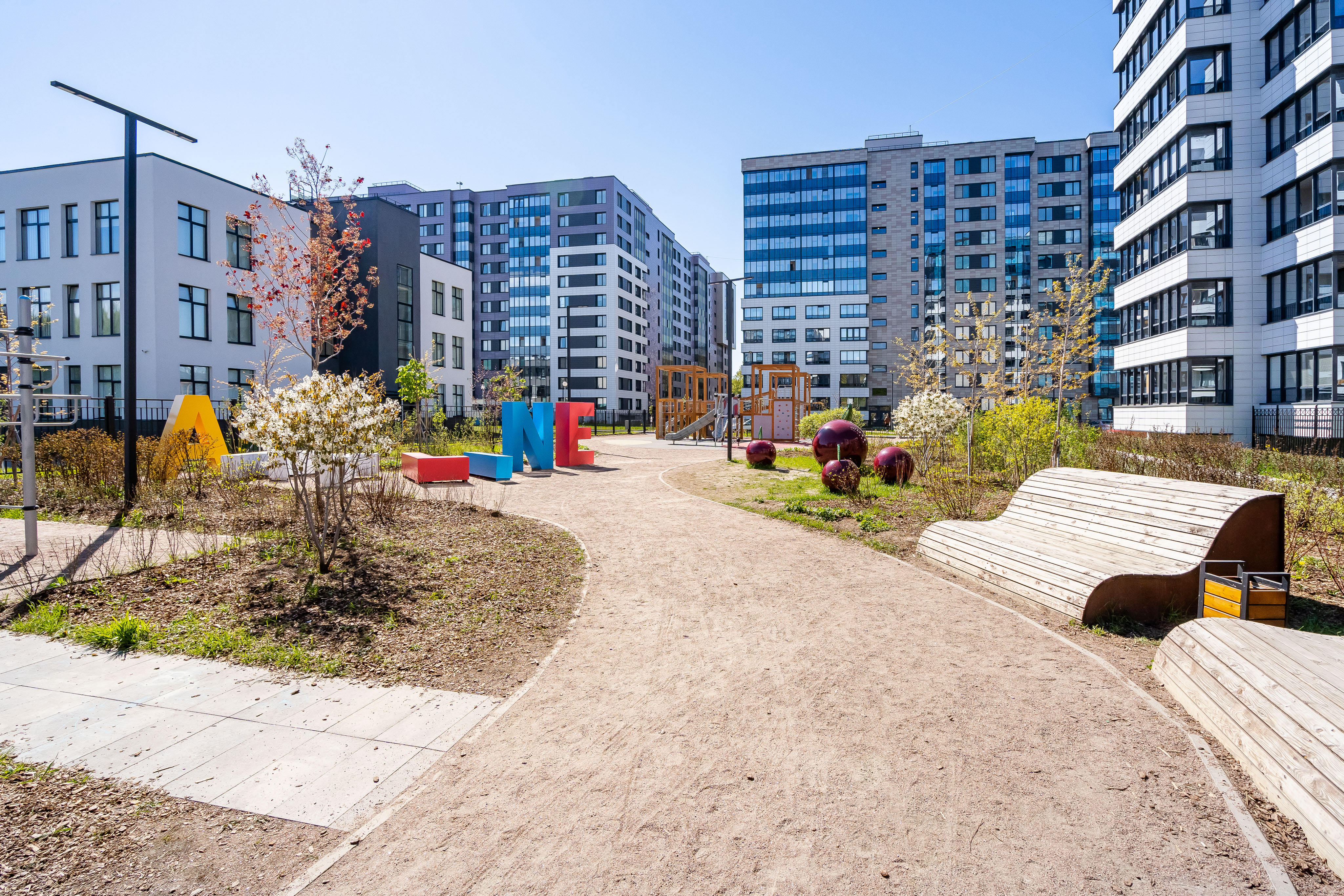 Фото Абрикосовое дерево на Старой деревне