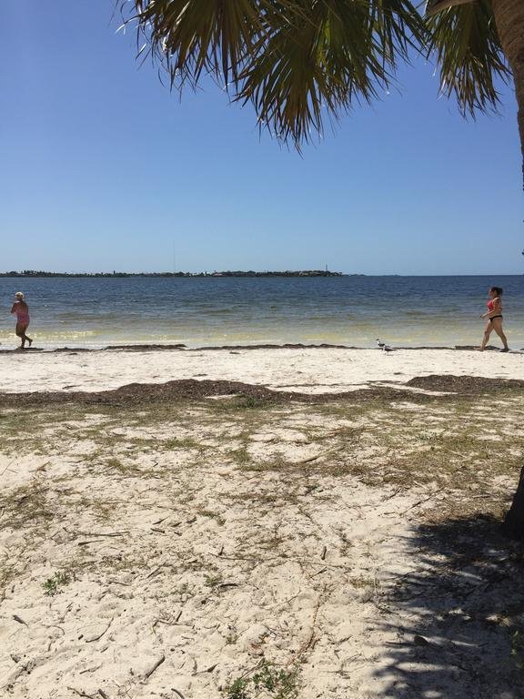 Фото Rodeway Inn