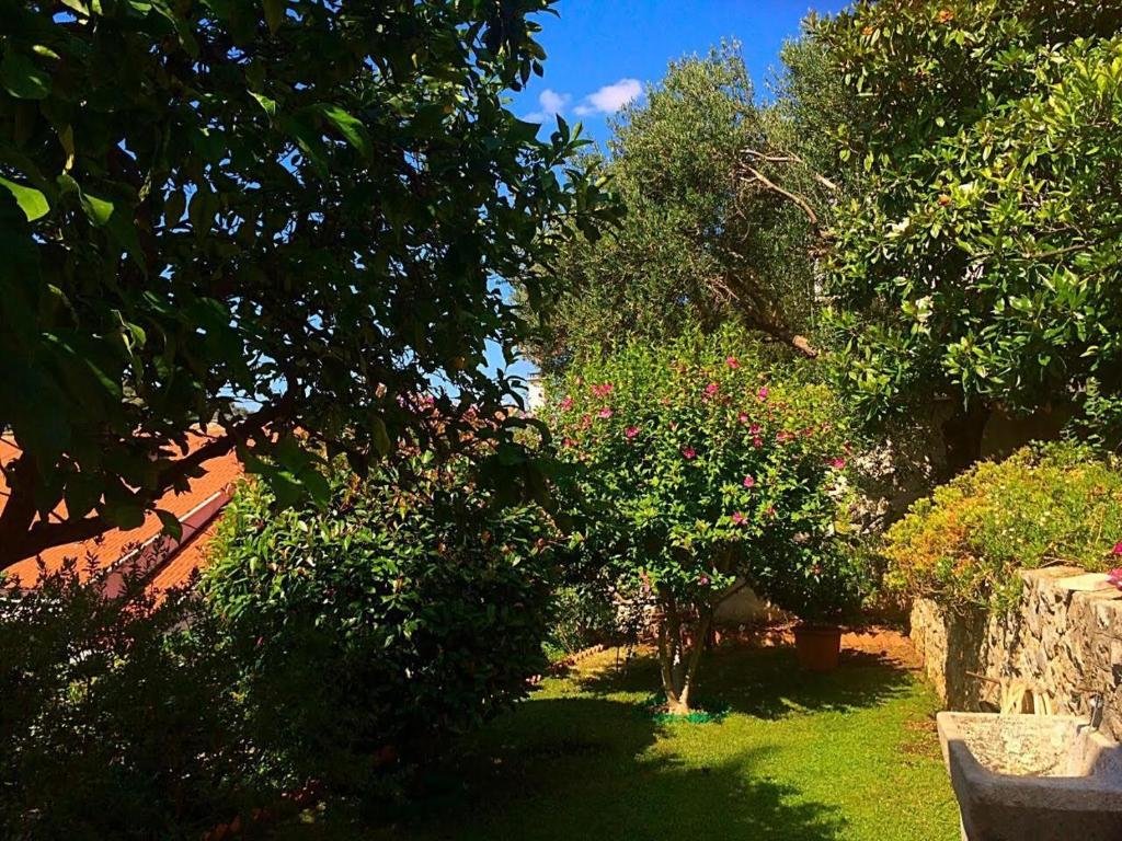 Фото Villa Karolina