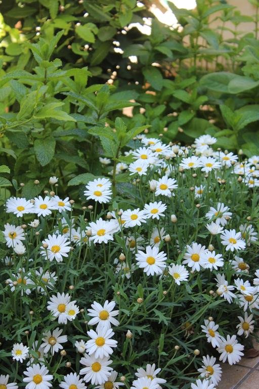 Фото B&b Al Centro Storico 21