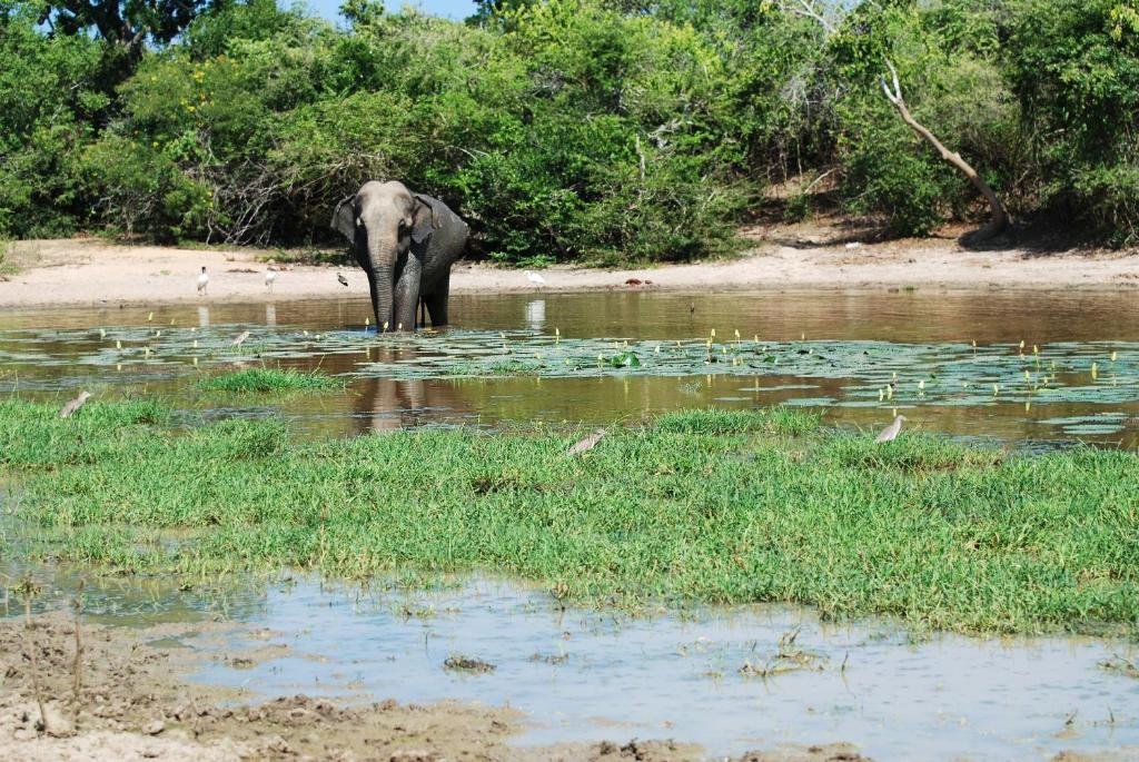 Фото Samwill Holiday Resort