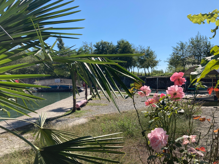 Фото Интер Сухум