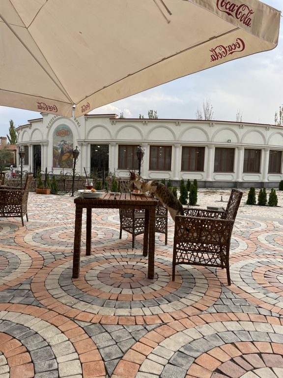 Фото Отель Кавказ