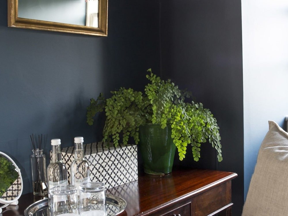 Фото The Salutation