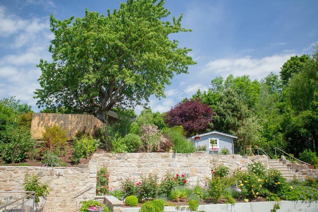 Фото City-Appartements Am Wall