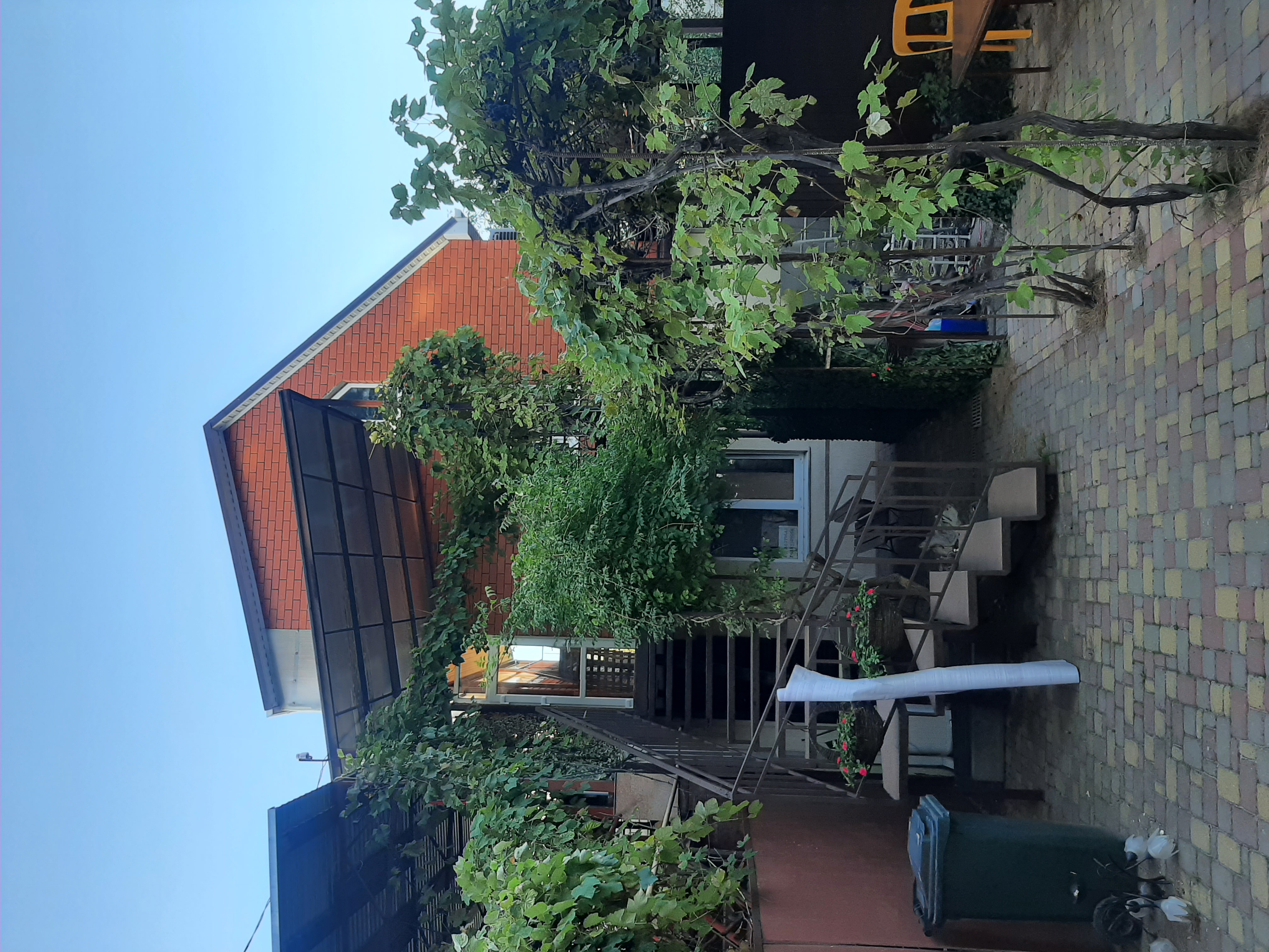 Фото Фамилия